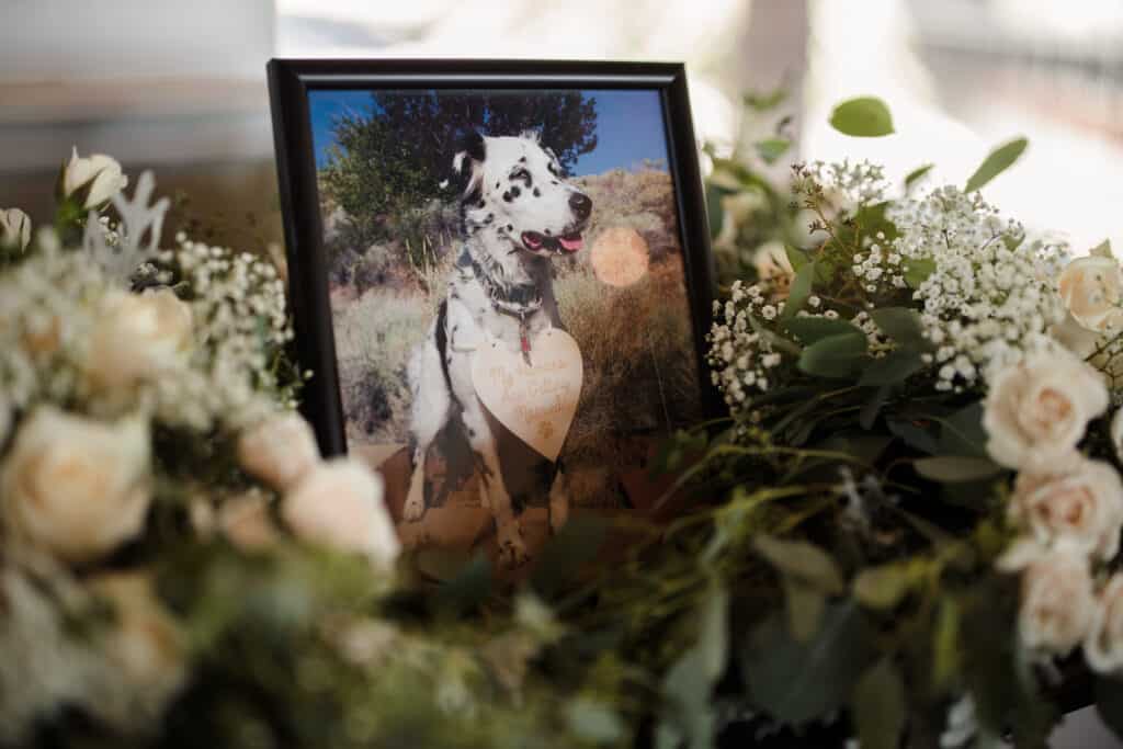 Framed picture of a dog at a wedding