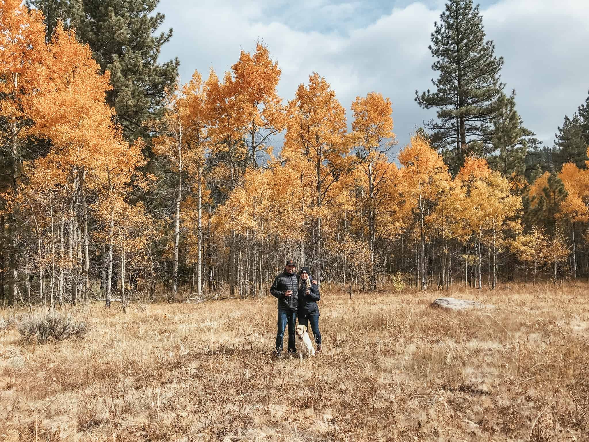 Andrew + Sara - Damaksnis