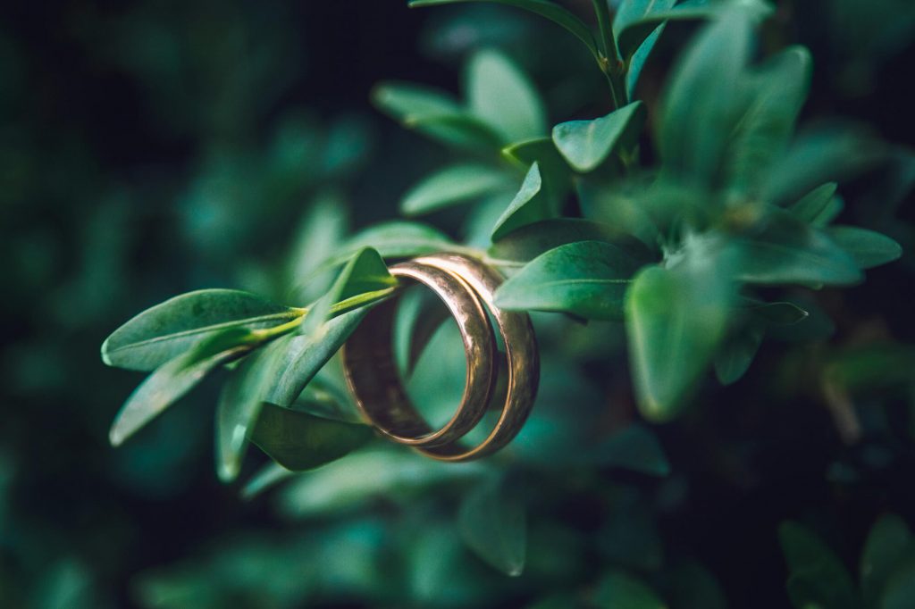 Elopement vs Micro Wedding